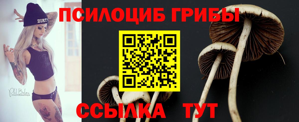 Псилоцибиновые грибы прущие грибы Асбест